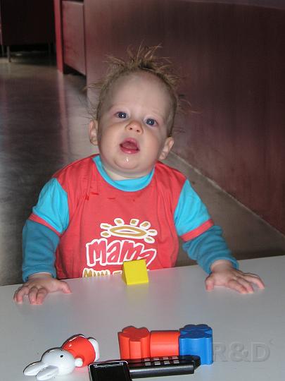 Imme 13 mei 2007 (5).JPG